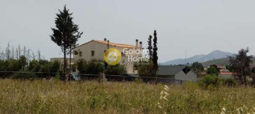 Μονοκατοικία στην Κοσμοθέα, Αφίδνες — Φωτογραφία 1 από 3