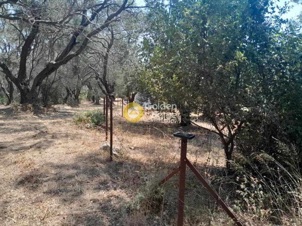 Οικόπεδο στην Μελιτειέοι, Κέρκυρα — Φωτογραφία 4 από 5