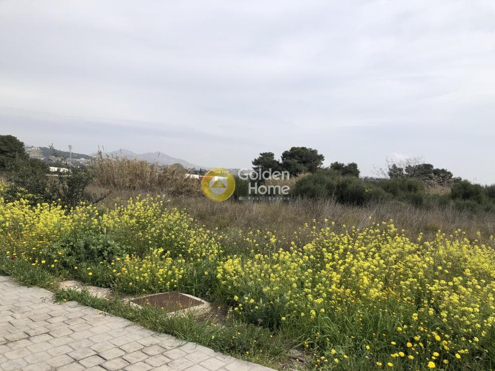Αγροτεμάχιο στην Καλογερικό, Παλλήνη — Φωτογραφία 1 από 3