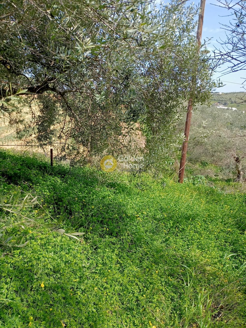 Building Plot in Kavrochori, Gazi — Photo 3 of 4