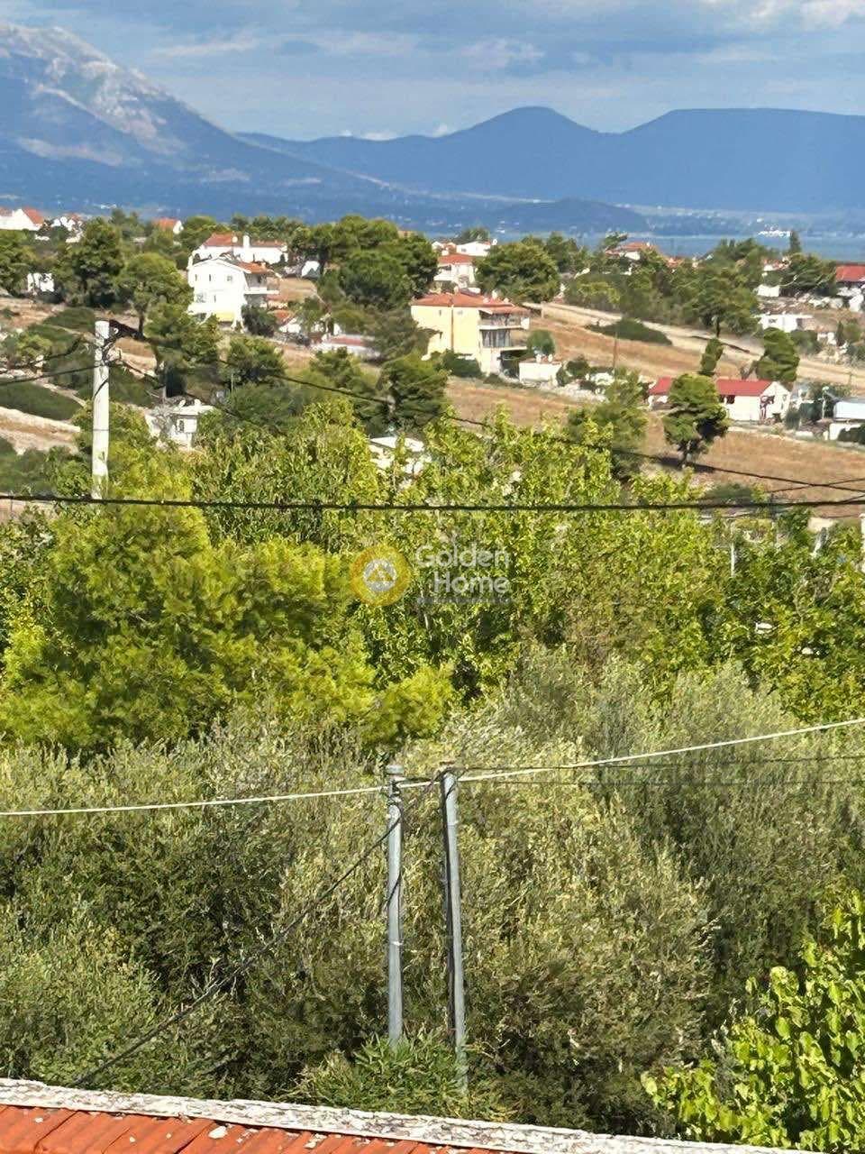 Μονοκατοικία στην Πλάκα Δήλεσι, Οινόφυτα — Φωτογραφία 13 από 23