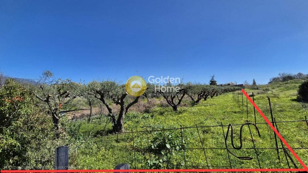 Building Plot in Center, Gazi — Photo 1 of 3