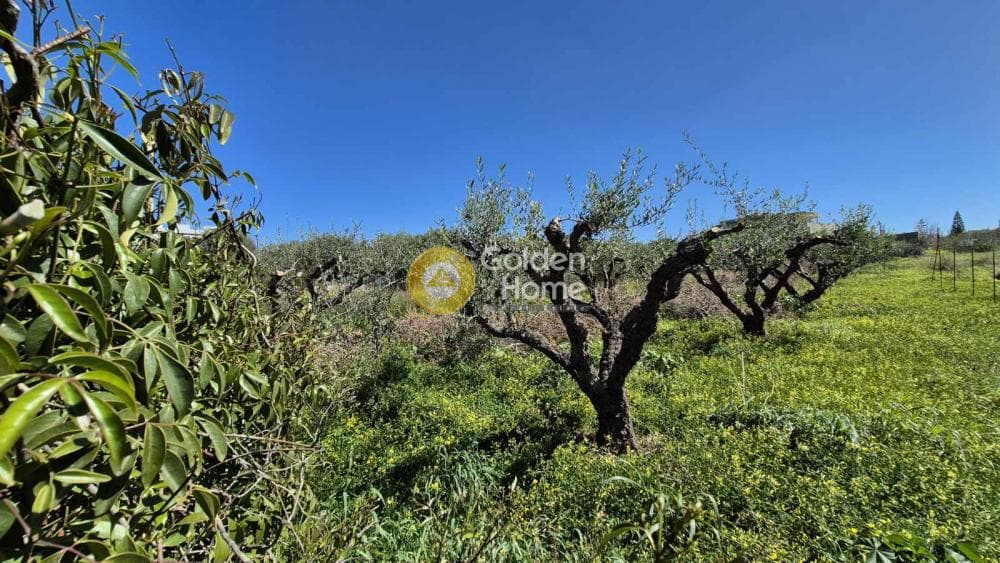 Building Plot in Center, Gazi — Photo 3 of 3