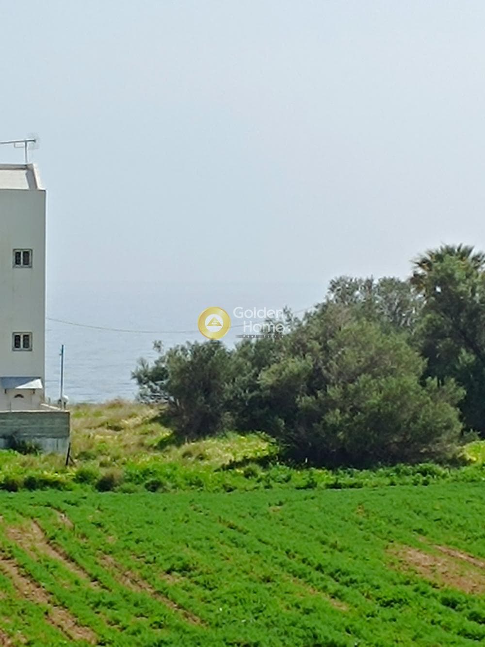 Μονοκατοικία στην Κινέτα, Άγιοι Θεόδωροι — Φωτογραφία 2 από 33