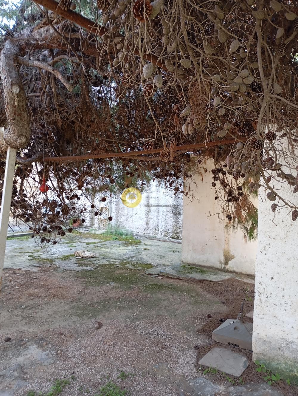 Μονοκατοικία στην Κέντρο, Αρτέμιδα (Λούτσα) — Φωτογραφία 2 από 9