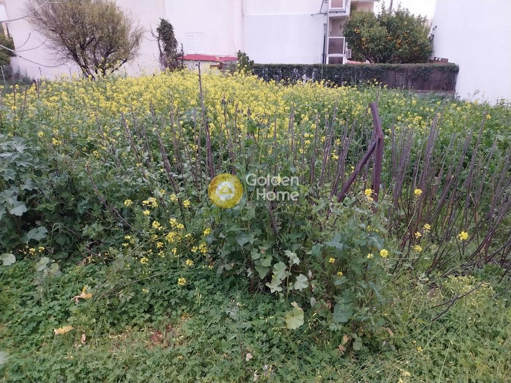 Building Plot in Fouresi, Glika Nera — Photo 1 of 3
