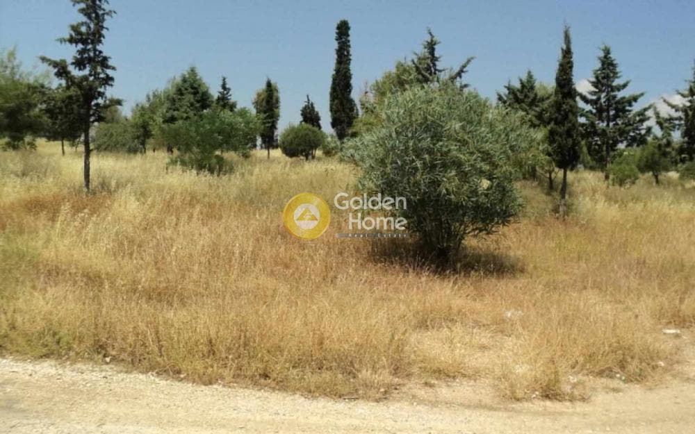 Οικόπεδο στην Μαράθι, Πάρος