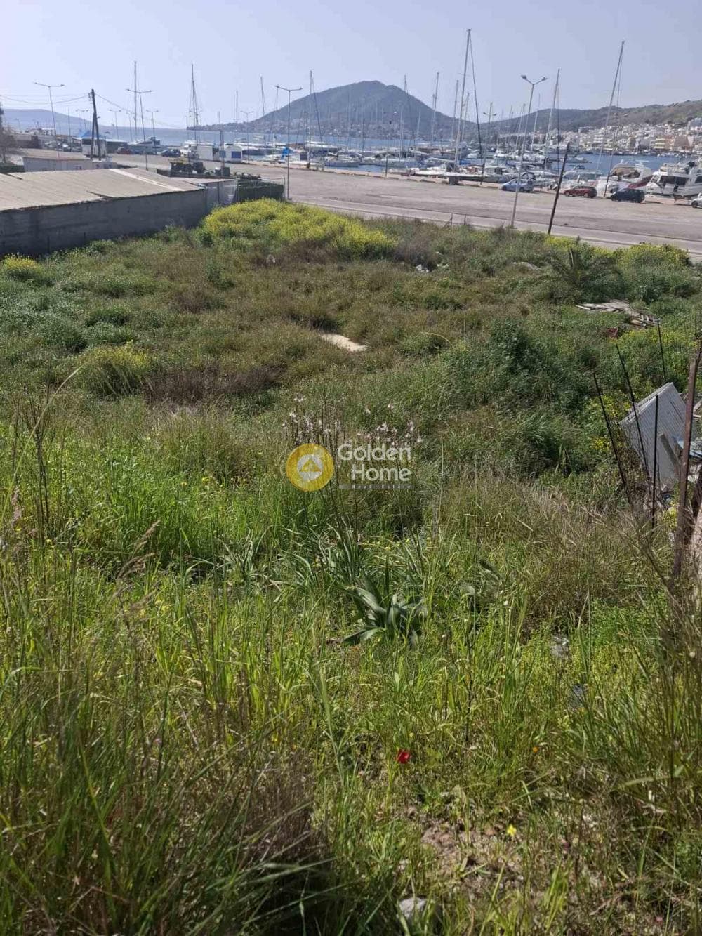 Parcel in Center, Salamina — Photo 1 of 6