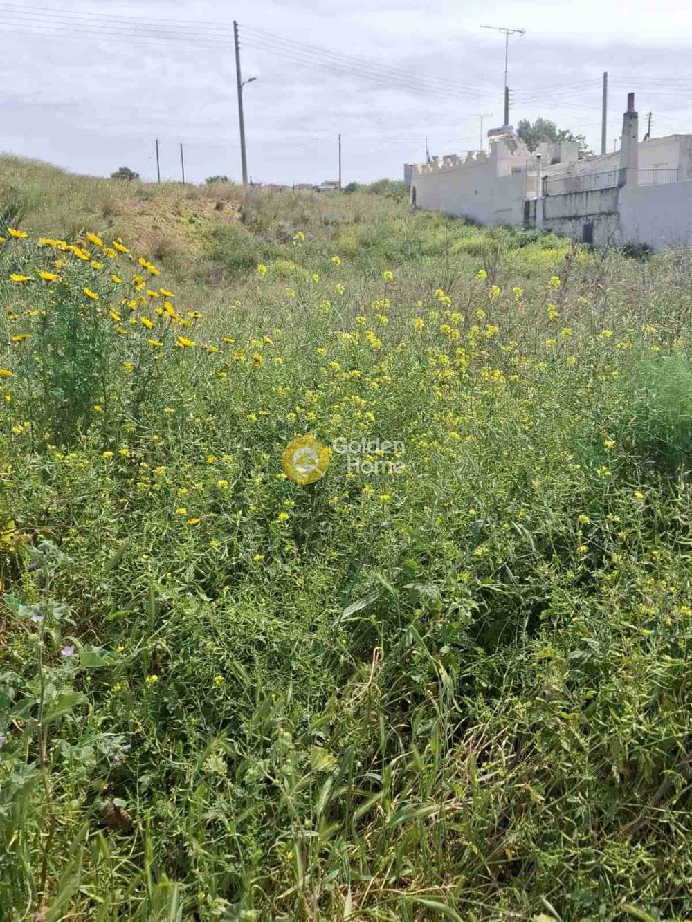 Parcel in Center, Salamina — Photo 4 of 6
