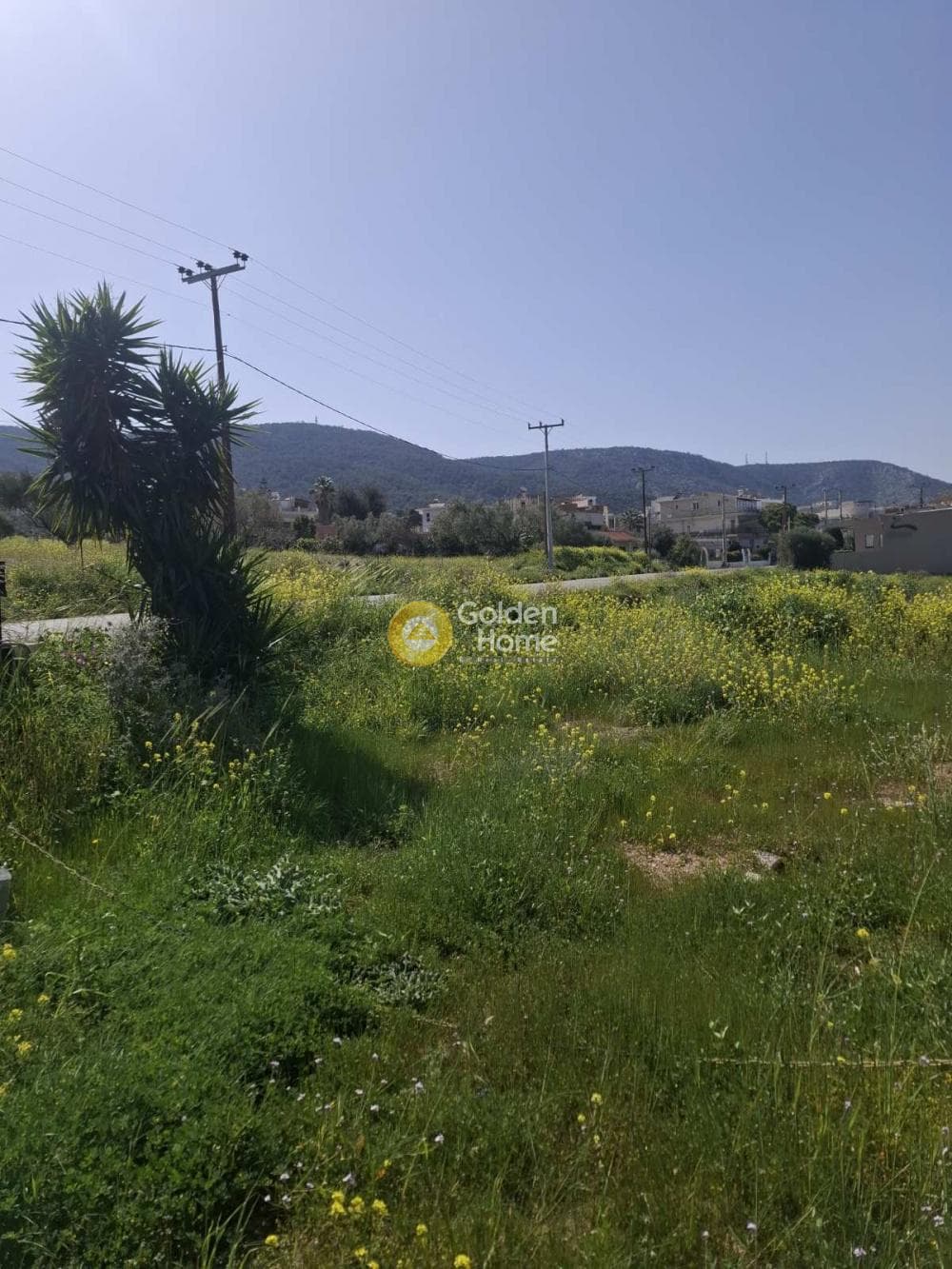 Οικόπεδο στην Αιάντειο, Σαλαμίνα — Φωτογραφία 2 από 4