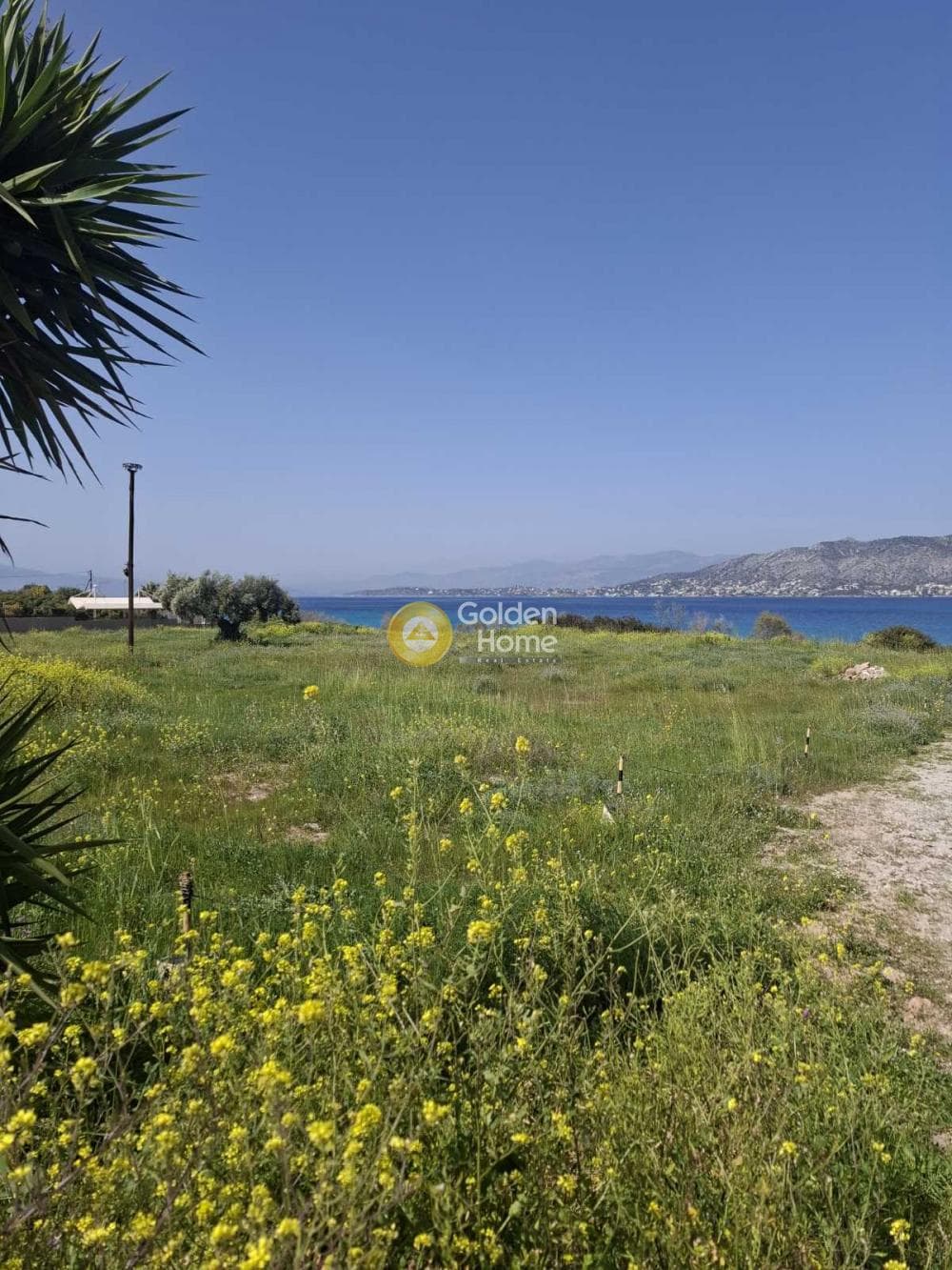 Οικόπεδο στην Αιάντειο, Σαλαμίνα — Φωτογραφία 1 από 4