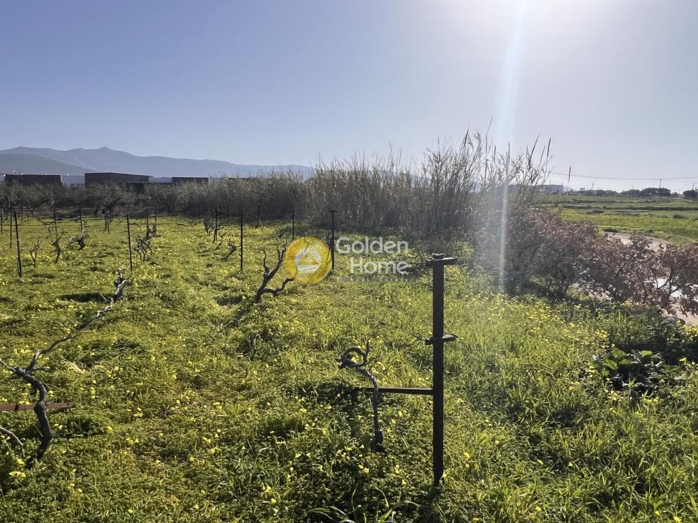 Αγροτεμάχιο στην Κάμπος, Πάρος — Φωτογραφία 4 από 13