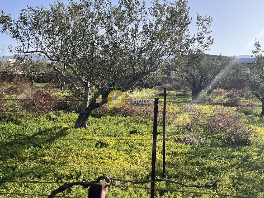 Αγροτεμάχιο στην Κάμπος, Πάρος — Φωτογραφία 7 από 13