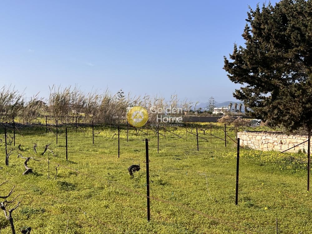 Αγροτεμάχιο στην Κάμπος, Πάρος — Φωτογραφία 8 από 13