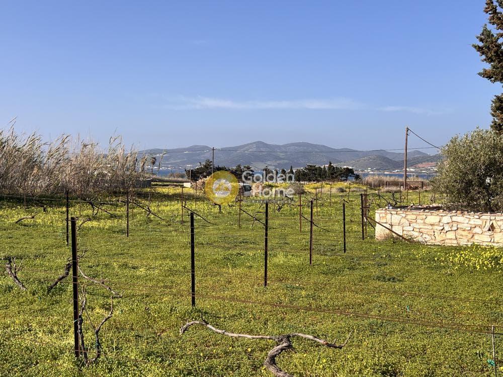 Αγροτεμάχιο στην Κάμπος, Πάρος — Φωτογραφία 1 από 13