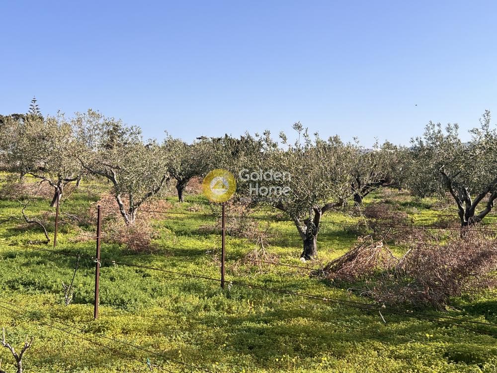 Αγροτεμάχιο στην Κάμπος, Πάρος — Φωτογραφία 11 από 13