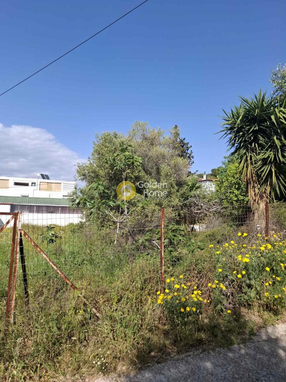 Building Plot in Agios Athanasios, Salamina — Photo 4 of 4