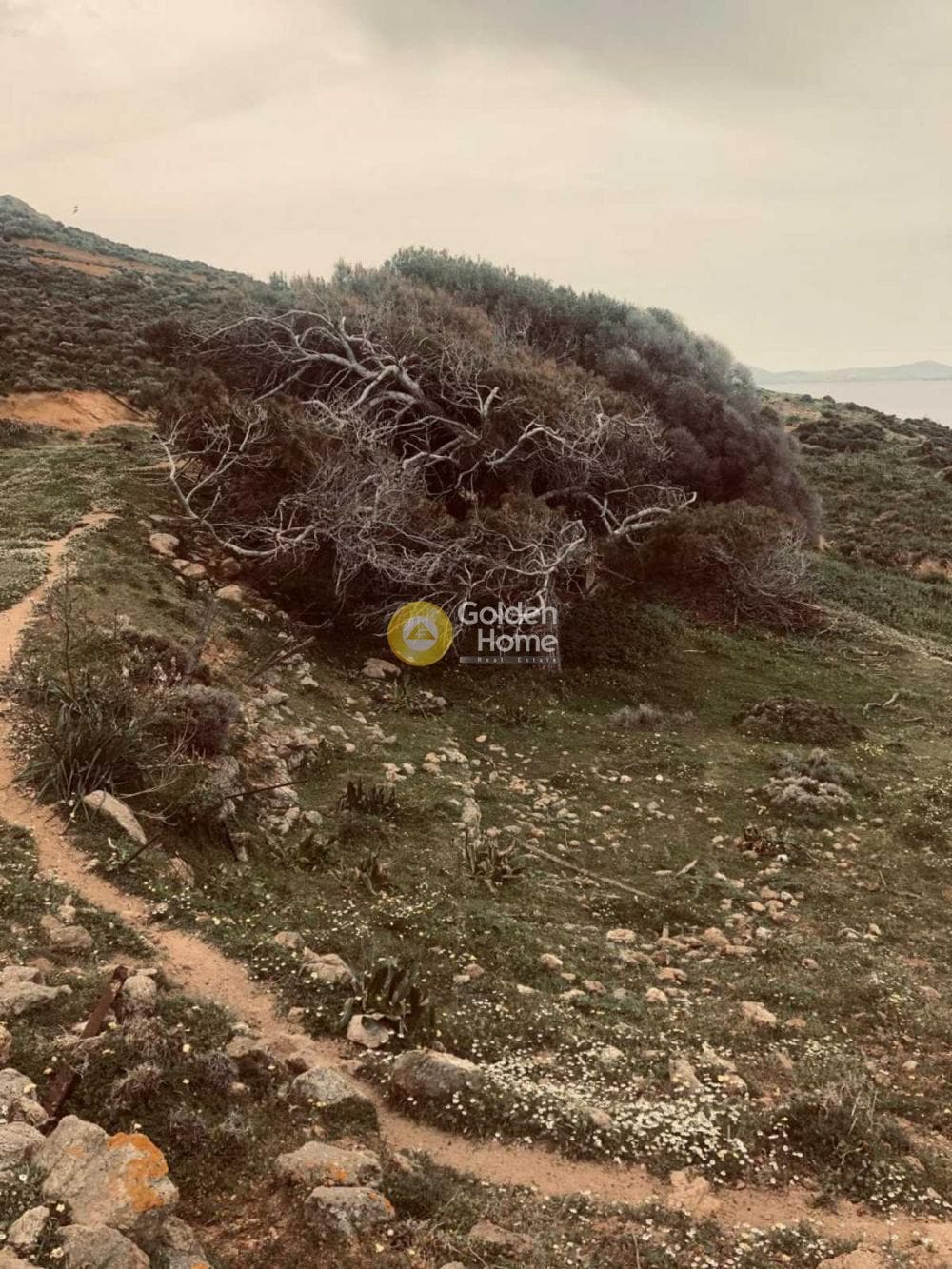Parcel in Moni Chrysostomou, Naxos — Photo 7 of 17