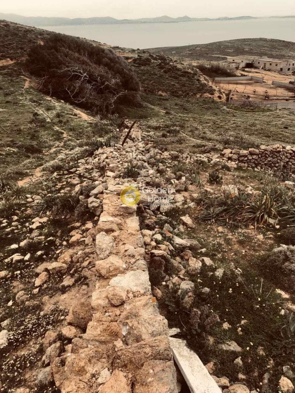 Parcel in Moni Chrysostomou, Naxos — Photo 5 of 17