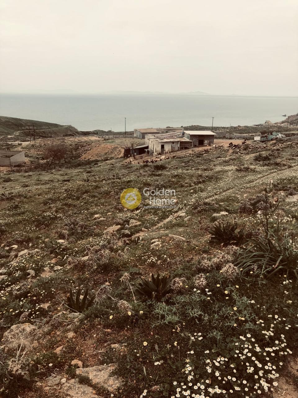 Parcel in Moni Chrysostomou, Naxos — Photo 17 of 17