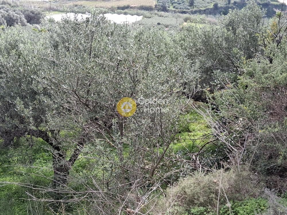 Parcel in Center, Gazi — Photo 3 of 5