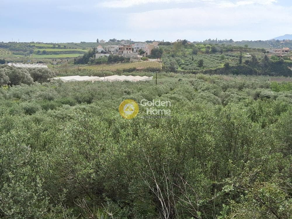 Parcel in Center, Gazi — Photo 4 of 5