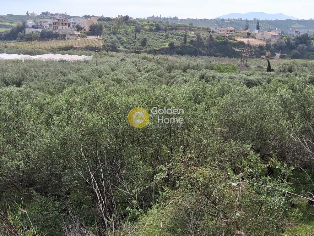 Parcel in Center, Gazi — Photo 5 of 5