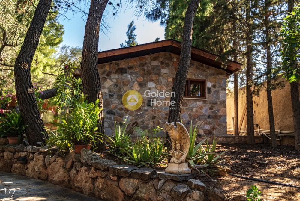 Building Plot in Industrial area, Koropi — Photo 13 of 33