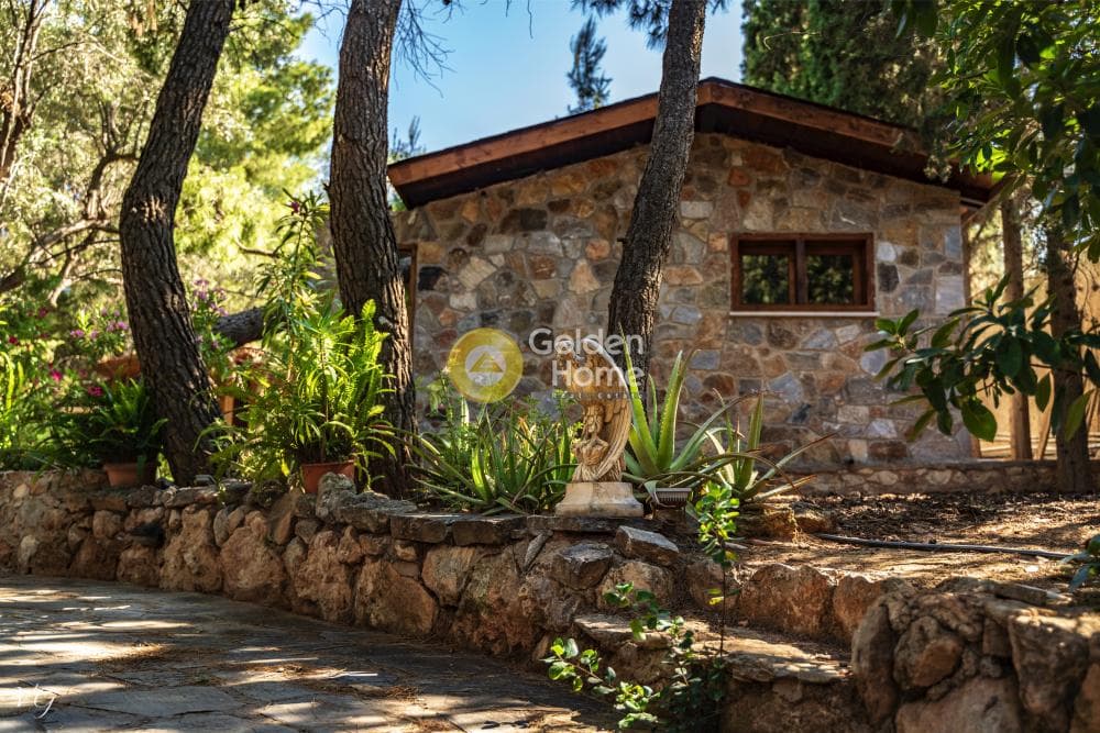 Building Plot in Industrial area, Koropi — Photo 14 of 33
