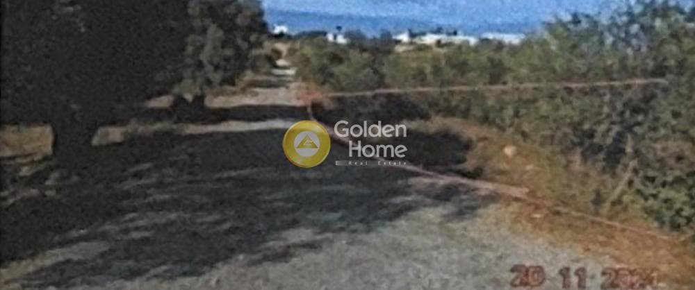 Οικόπεδο στην Μονή Αγίου Ιωάννου Θεολόγου, Γούβες