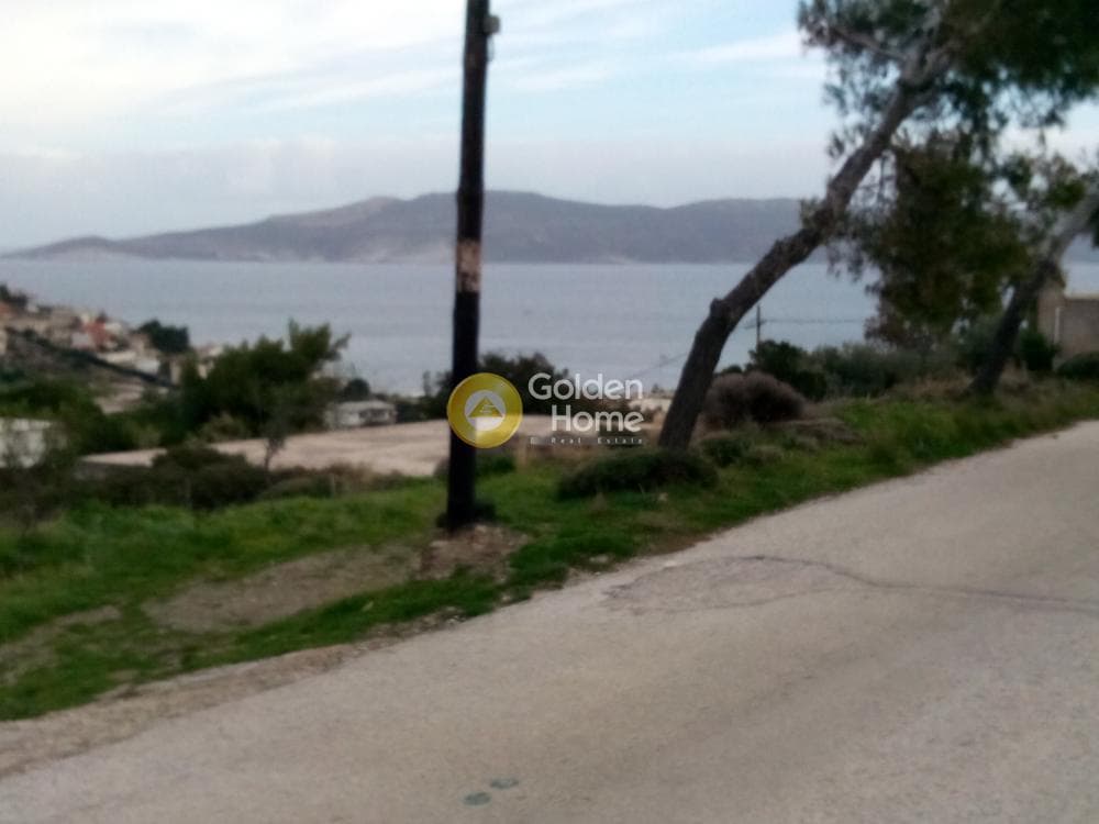Αγροτεμάχιο στην Μικρολίμανο, Λαύριο — Φωτογραφία 4 από 9