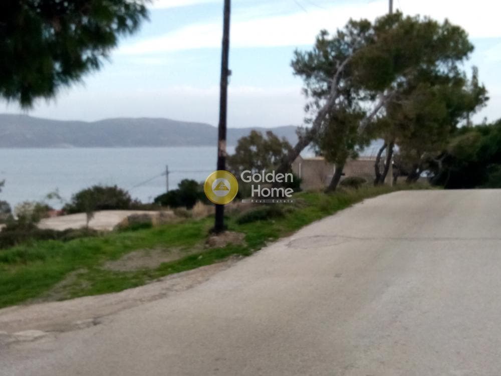 Αγροτεμάχιο στην Μικρολίμανο, Λαύριο — Φωτογραφία 2 από 9