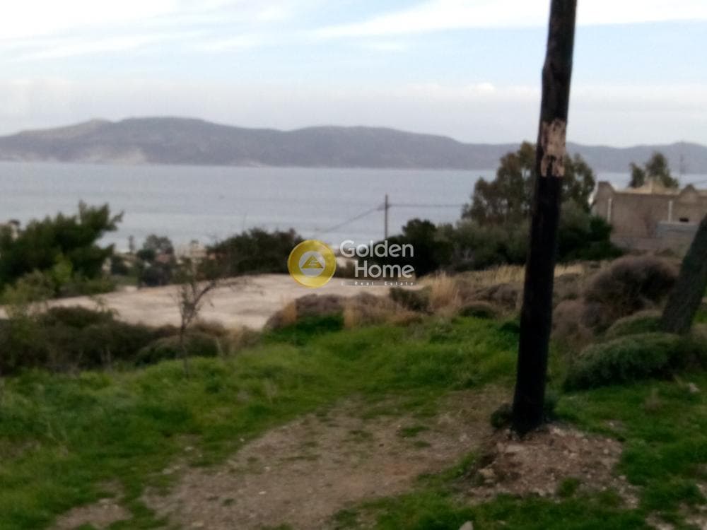 Αγροτεμάχιο στην Μικρολίμανο, Λαύριο — Φωτογραφία 3 από 9