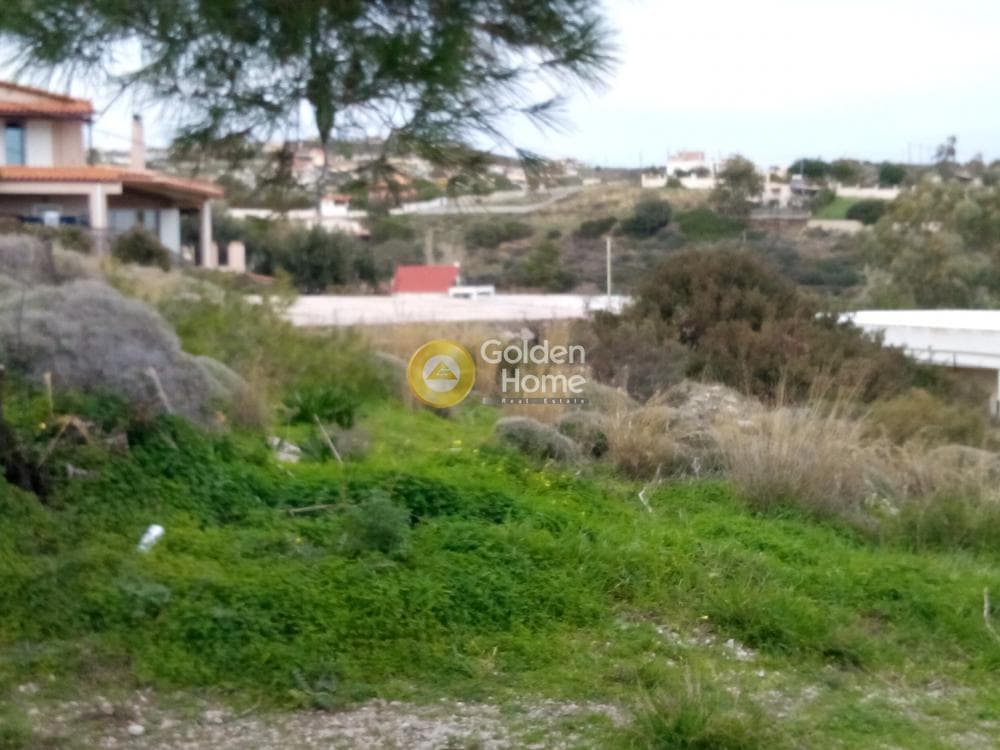 Αγροτεμάχιο στην Μικρολίμανο, Λαύριο — Φωτογραφία 6 από 9