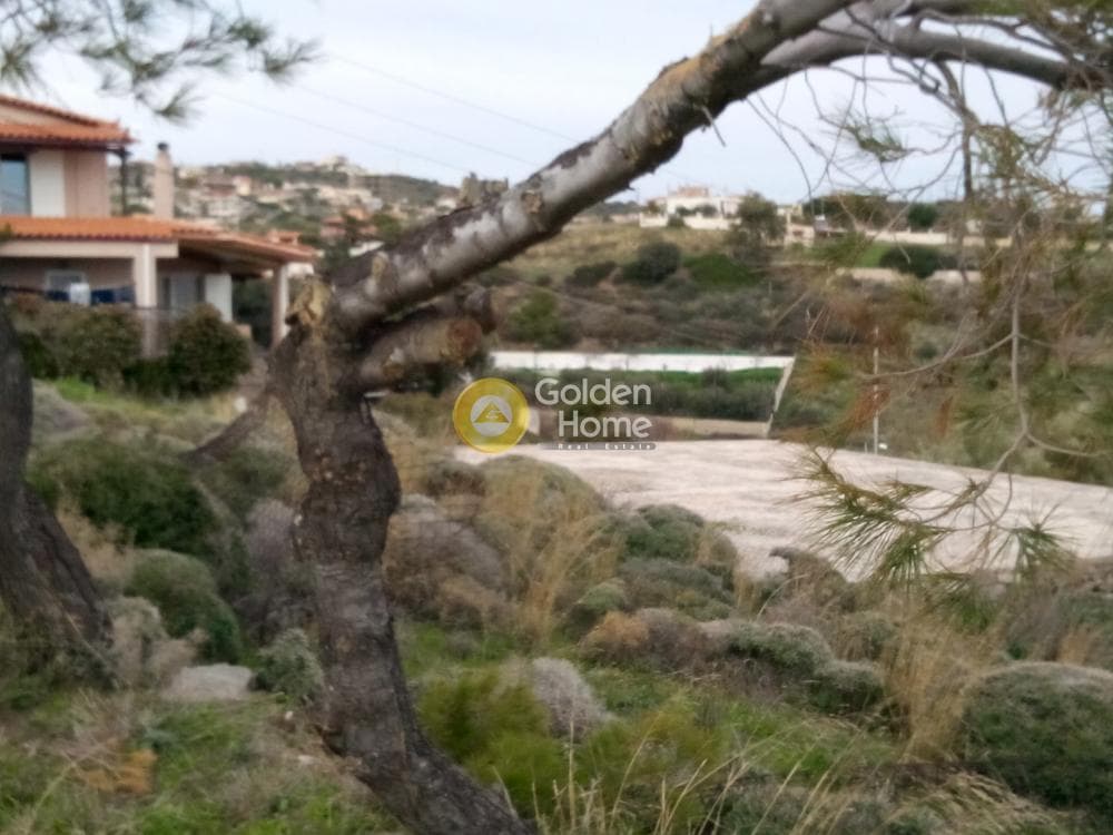 Αγροτεμάχιο στην Μικρολίμανο, Λαύριο — Φωτογραφία 5 από 9