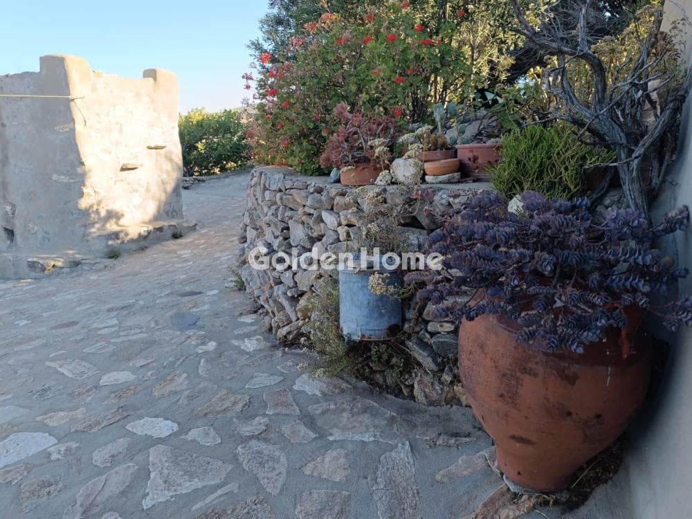 House in Lefkes, Paros — Photo 48 of 52