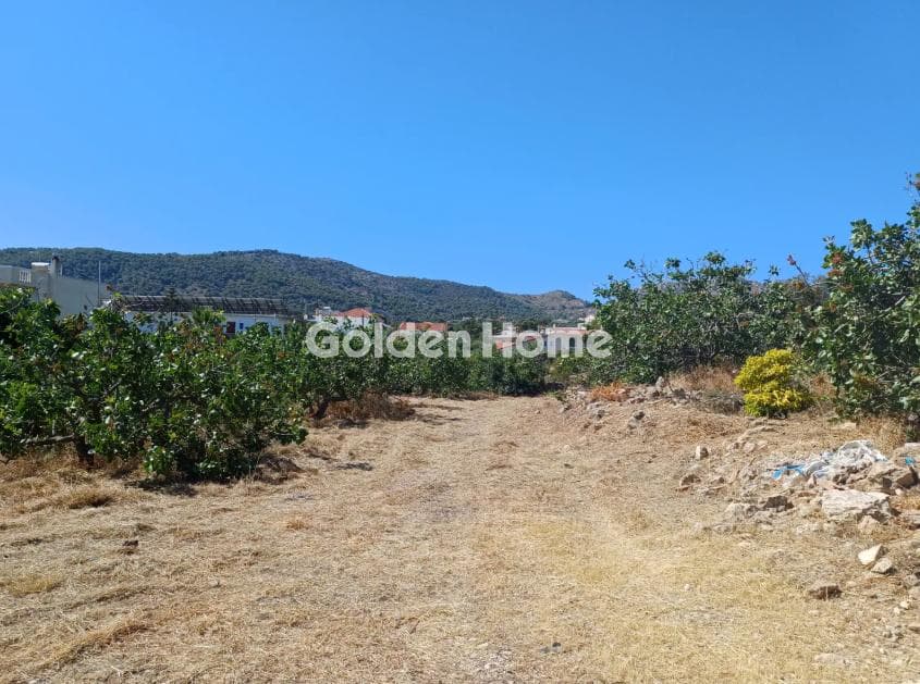 Οικόπεδο στην Βαθύ, Αίγινα — Φωτογραφία 3 από 5