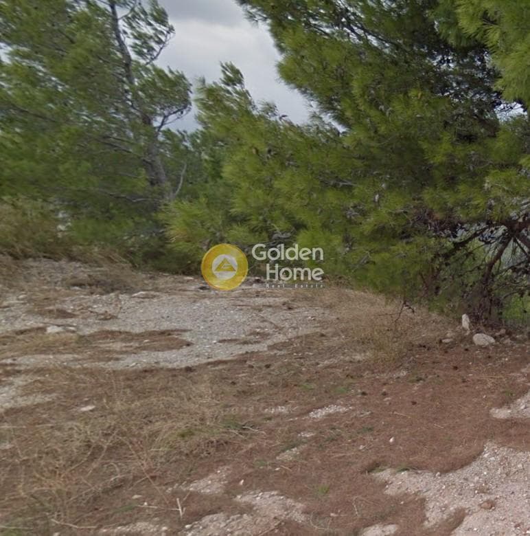 Building Plot in Neos Voutzas, Rafina