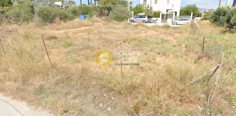 Οικόπεδο στην Αγία Τριάδα, Παιανία — Φωτογραφία 1 από 5