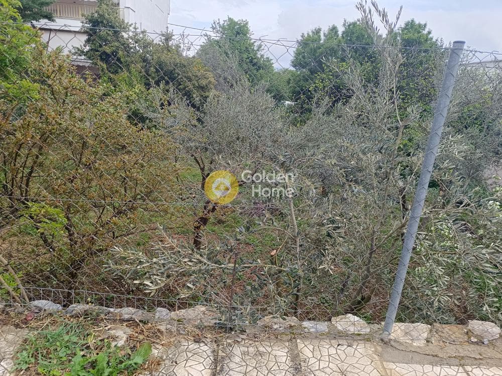 Οικόπεδο στην Μπάλανα, Γέρακας — Φωτογραφία 1 από 5