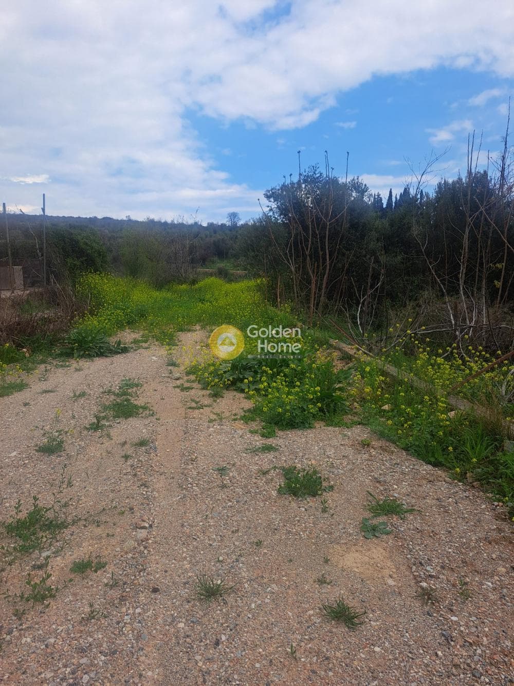 Building Plot in Kiourka, Afidnes — Photo 2 of 3