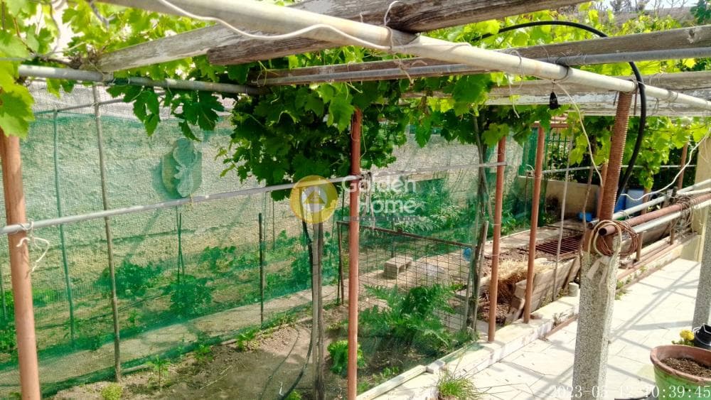 House in Agios Athanasios, Pallini — Photo 10 of 13