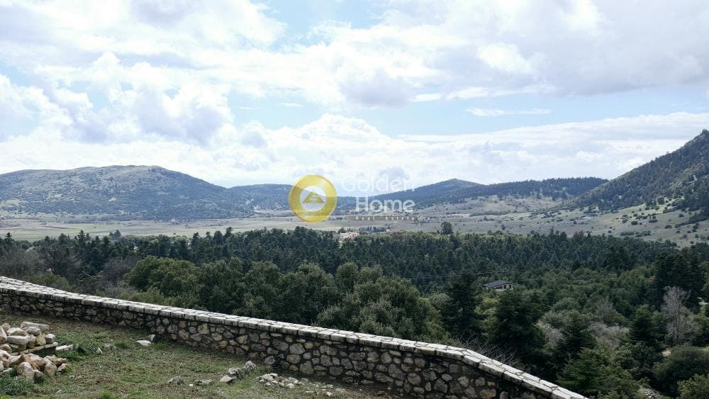 Μονοκατοικία στην Καλύβια, Αράχωβα — Φωτογραφία 3 από 31