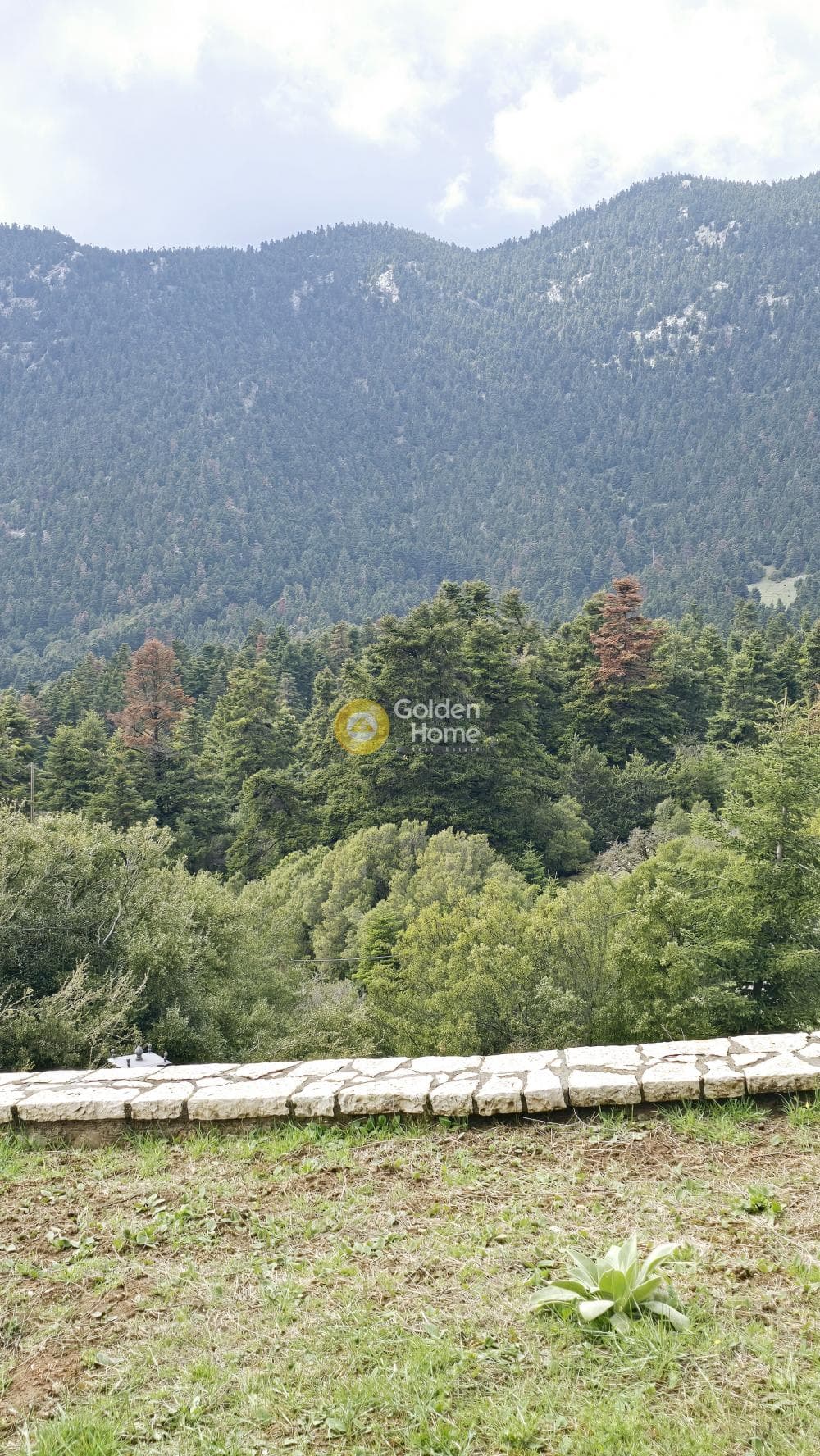 Μονοκατοικία στην Καλύβια, Αράχωβα — Φωτογραφία 31 από 31