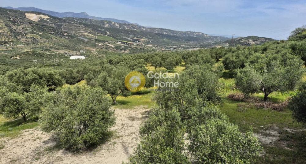 Building Plot in Agios Sillas, Archanes — Photo 2 of 2