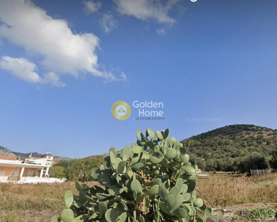 Building Plot in Dimitrani, Salamina — Photo 2 of 2