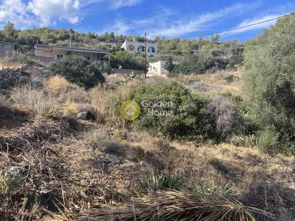 Building Plot in Resti, Salamina — Photo 8 of 8
