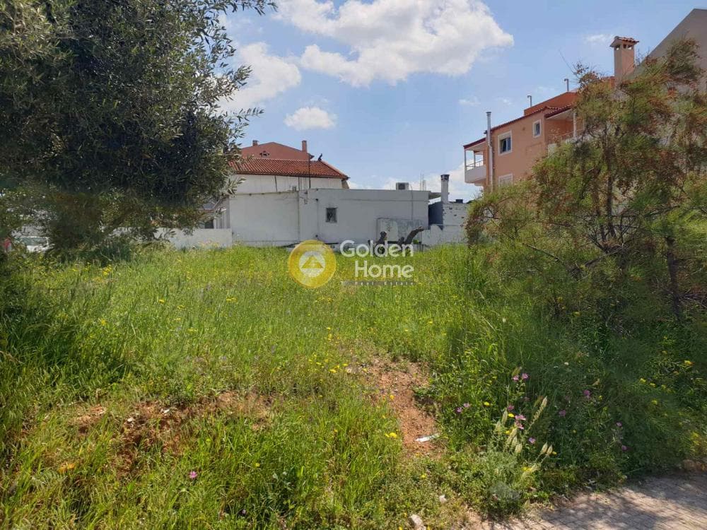 Building Plot in Patima, Chalandri — Photo 2 of 3
