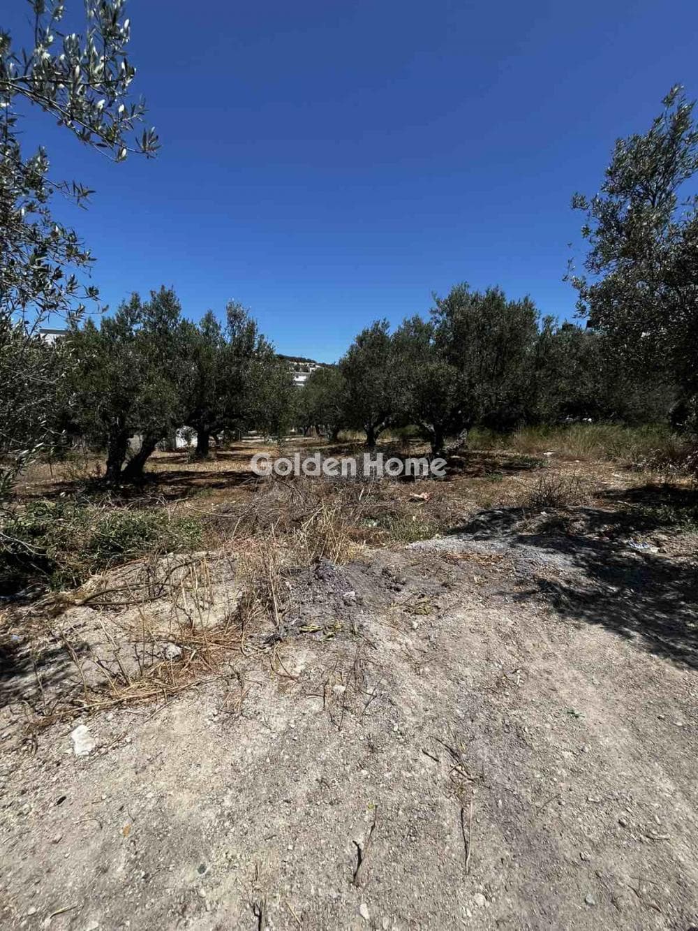 Οικόπεδο στην Άγιος Ιωάννης Κνωσσού, Ηράκλειο Κρήτης — Φωτογραφία 4 από 4
