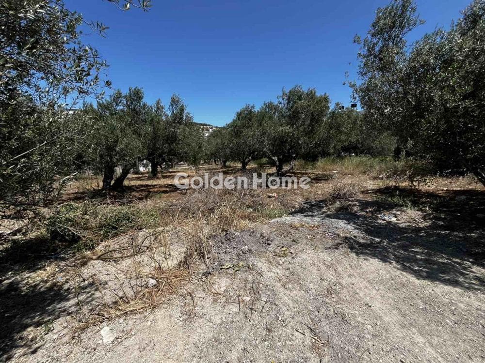 Οικόπεδο στην Άγιος Ιωάννης Κνωσσού, Ηράκλειο Κρήτης — Φωτογραφία 1 από 4